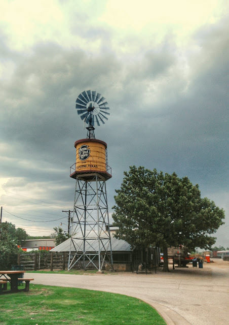 Photo of A journey by Grapevine Vintage Railroad 5/8 by Raktim