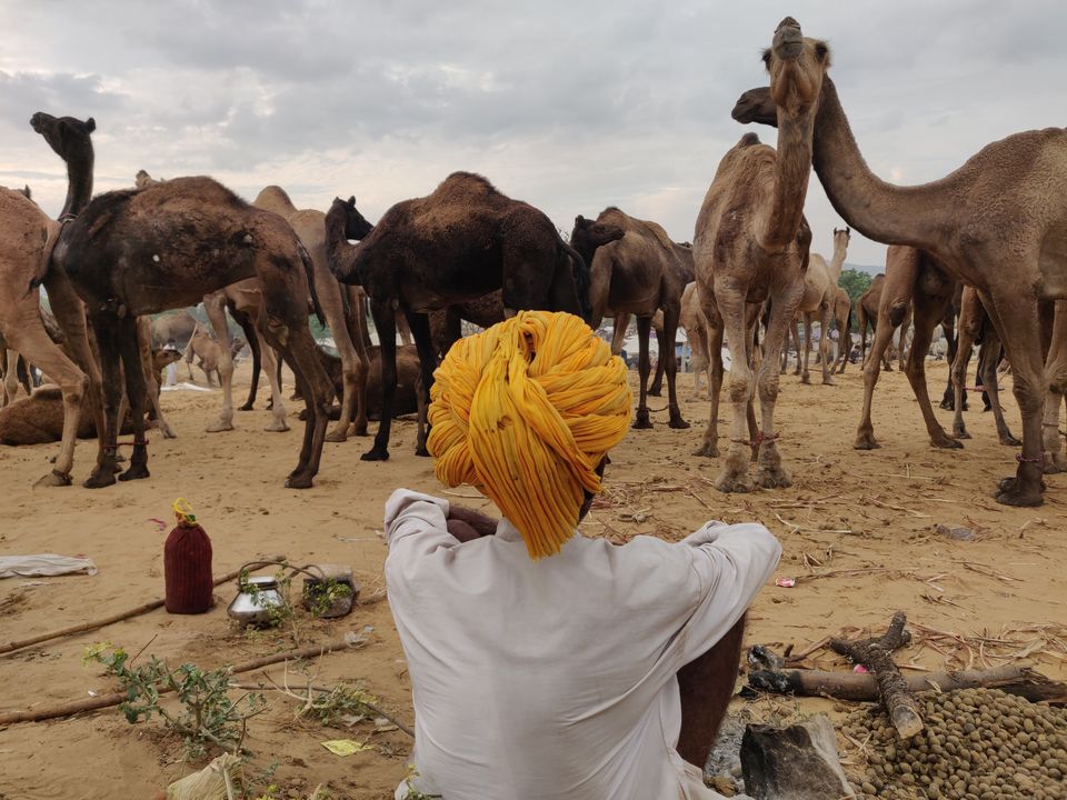 Photo of Khamma Ghani! : Rajasthan 2/3 by Moody Hexagon