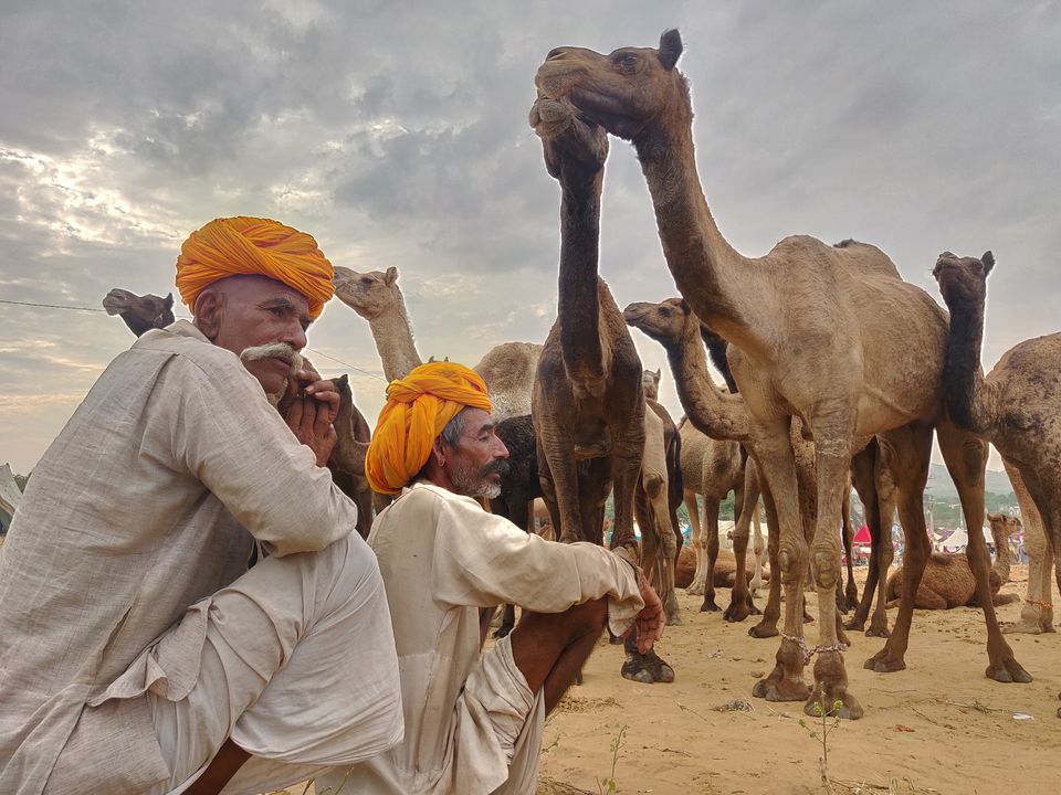 Photo of Khamma Ghani! : Rajasthan 3/3 by Moody Hexagon