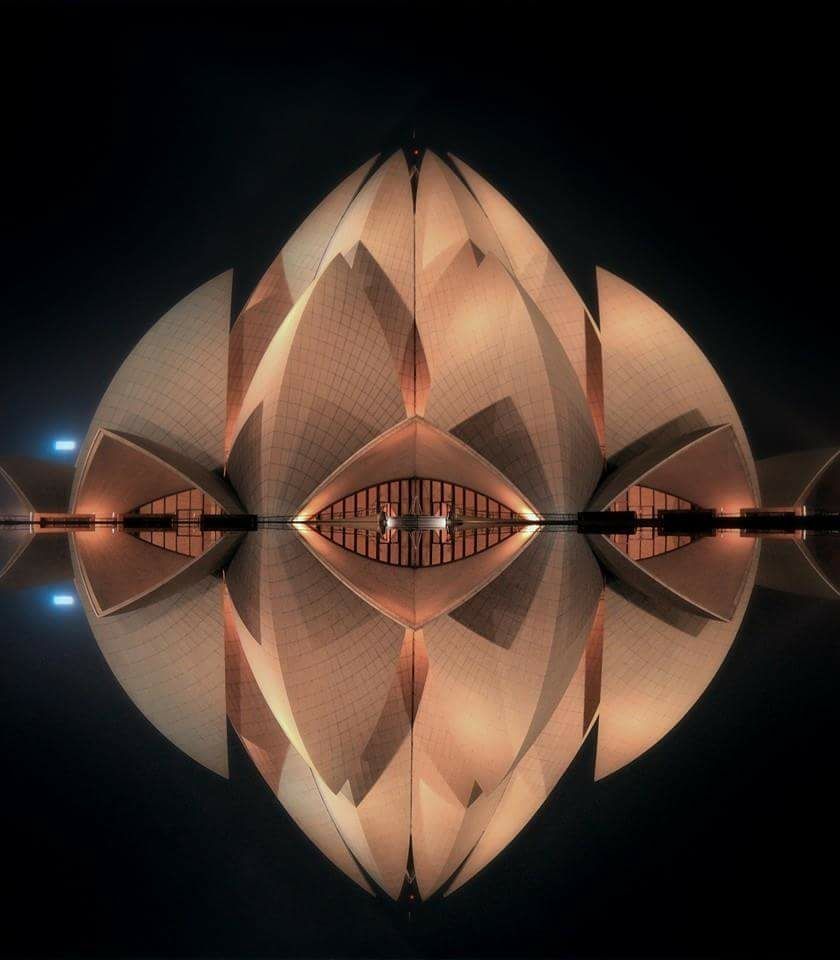 Photo of Never Before Seen Lotus by Shlok Bhatnagar