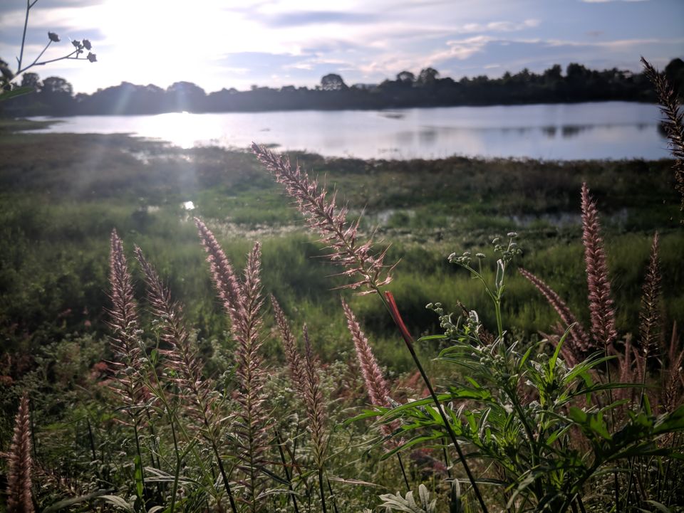 Photo of Kattigenahalli Lake, Kattigenahalli, Bengaluru, Karnataka, India by ayush maloo