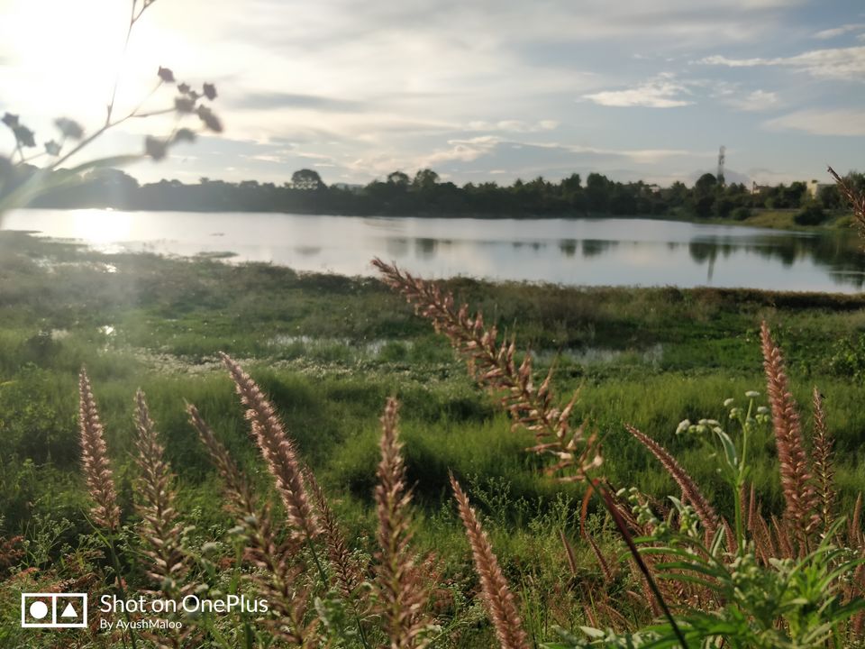 Photo of Kattigenahalli Lake, Kattigenahalli, Bengaluru, Karnataka, India by ayush maloo