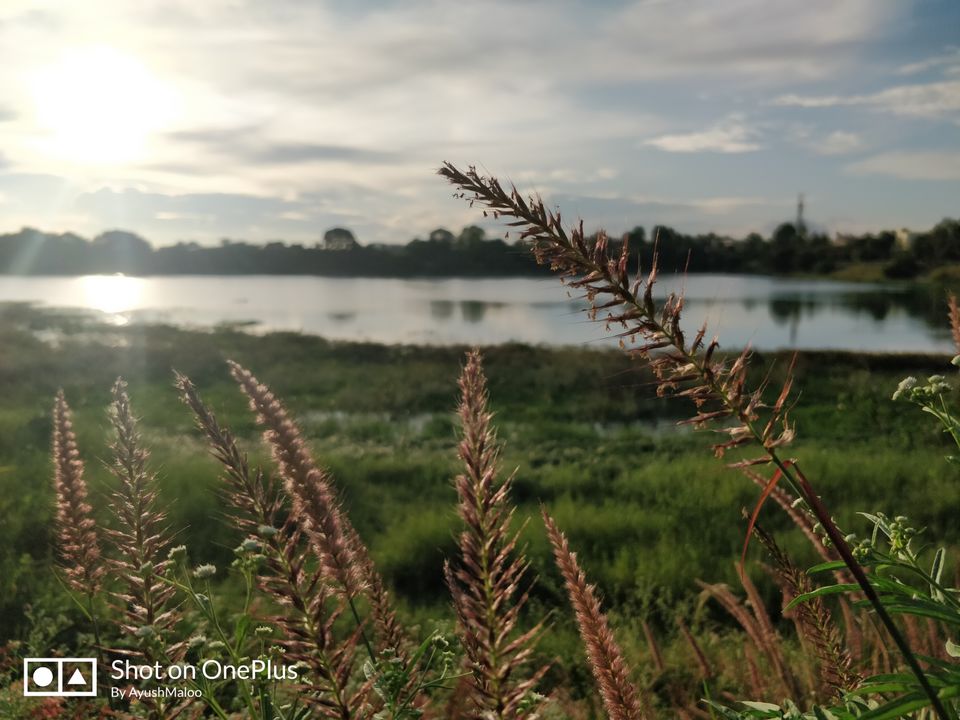 Photo of Kattigenahalli Lake, Kattigenahalli, Bengaluru, Karnataka, India by ayush maloo