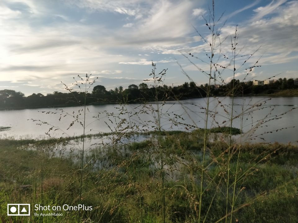 Photo of Kattigenahalli Lake, Kattigenahalli, Bengaluru, Karnataka, India by ayush maloo