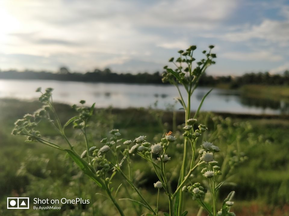 Photo of Kattigenahalli Lake, Kattigenahalli, Bengaluru, Karnataka, India by ayush maloo