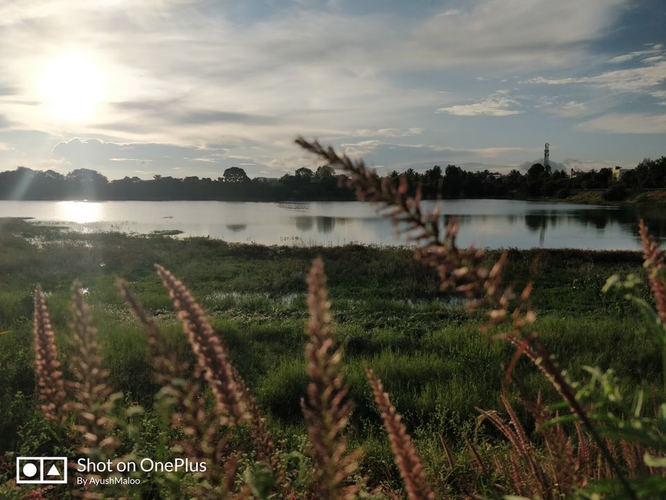 Photo of Kattigenahalli Lake, Kattigenahalli, Bengaluru, Karnataka, India by ayush maloo