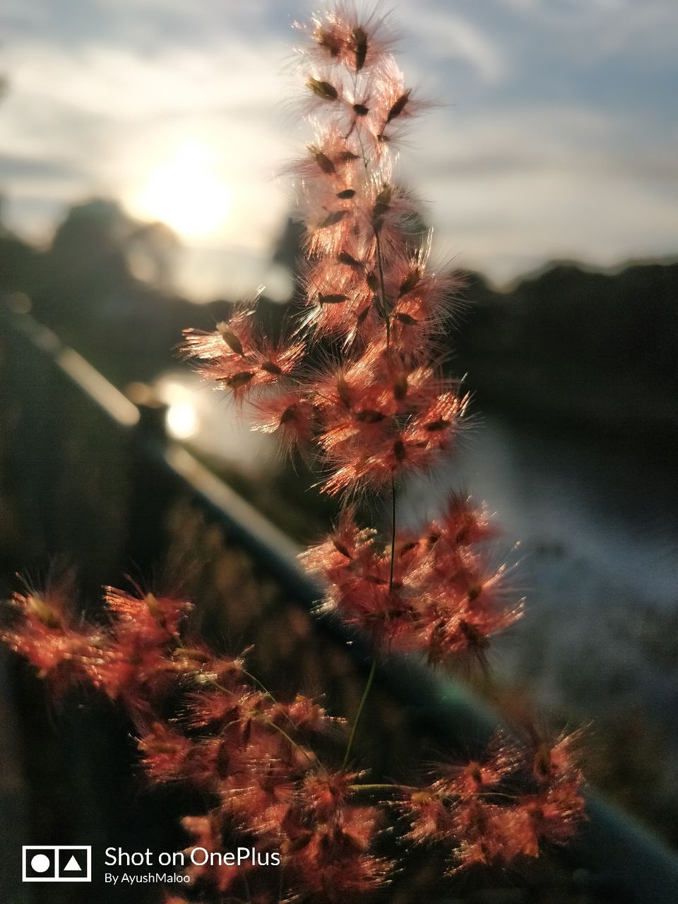 Photo of Kattigenahalli Lake, Kattigenahalli, Bengaluru, Karnataka, India by ayush maloo