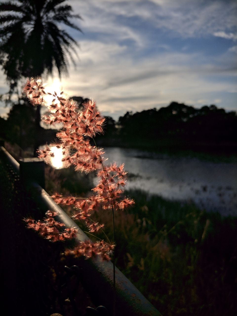 Photo of Kattigenahalli Lake, Kattigenahalli, Bengaluru, Karnataka, India by ayush maloo