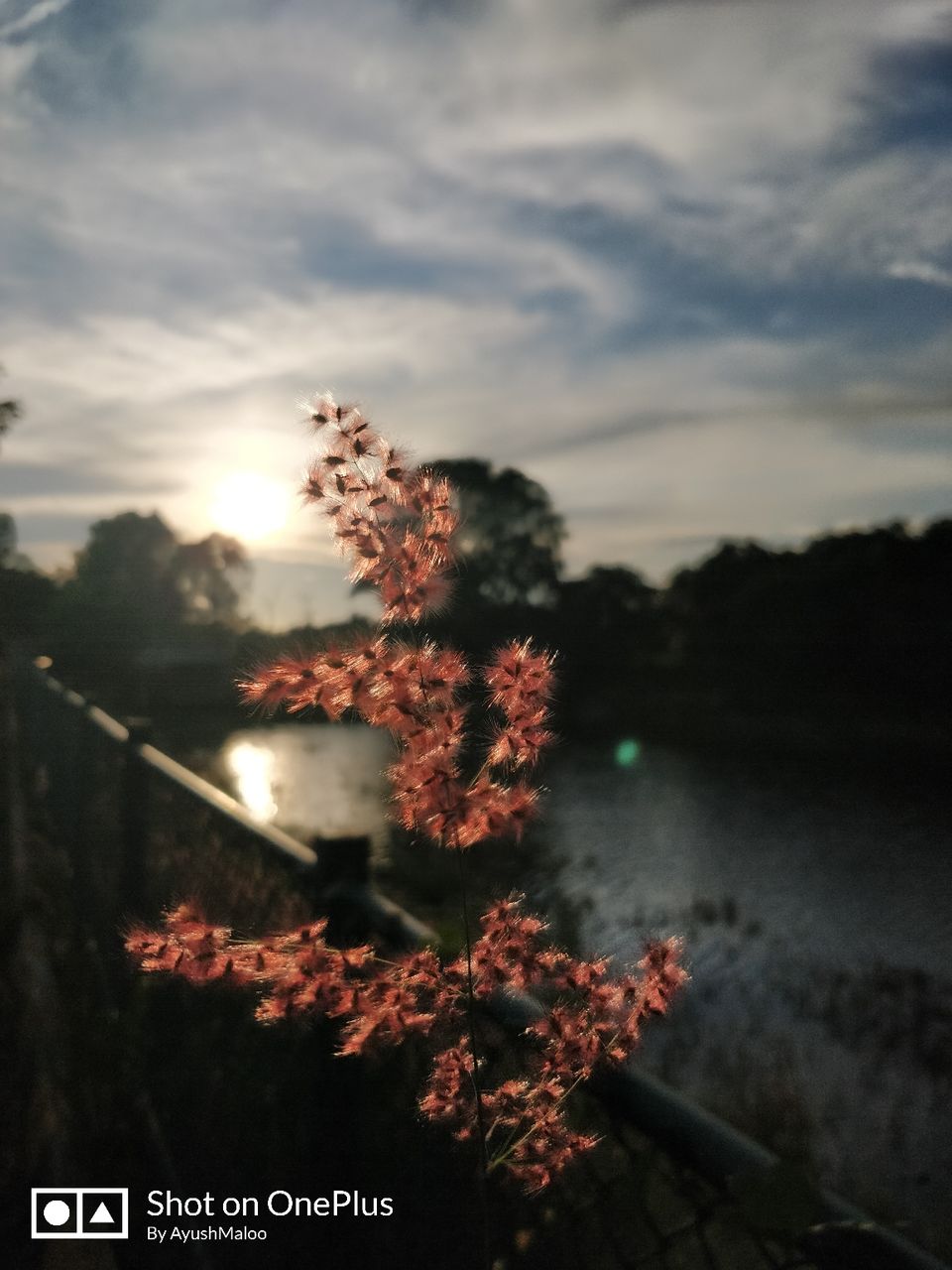Photo of Kattigenahalli Lake, Kattigenahalli, Bengaluru, Karnataka, India by ayush maloo