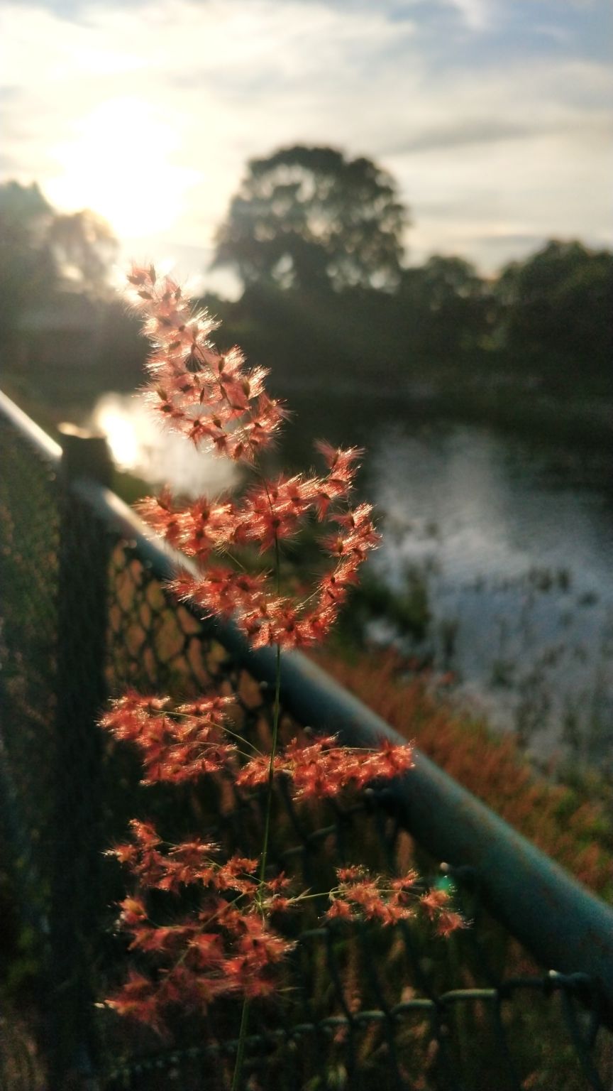 Photo of Kattigenahalli Lake, Kattigenahalli, Bengaluru, Karnataka, India by ayush maloo