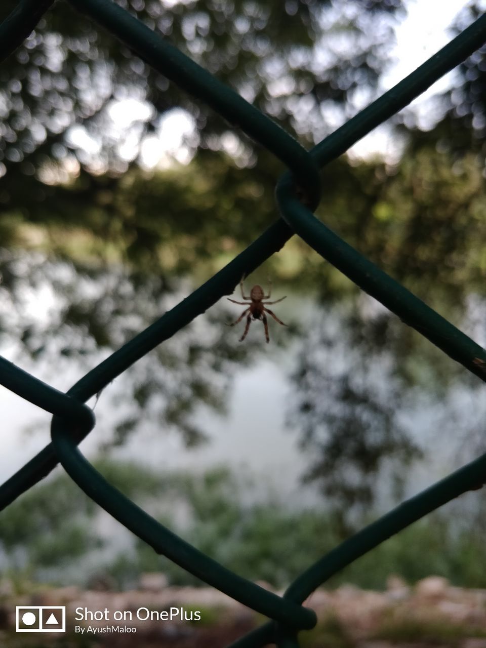 Photo of Kattigenahalli Lake, Kattigenahalli, Bengaluru, Karnataka, India by ayush maloo
