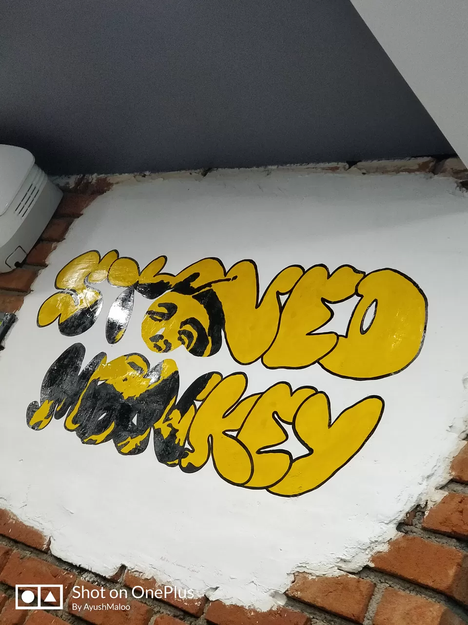 Photo of Stoned Monkey Rajarajeshwari Nagar, Jawaharlal Nehru Road, Dwaraka Nagar, 5th Stage, RR Nagar, Bengaluru, Karnataka, India by Thesundaytraveller