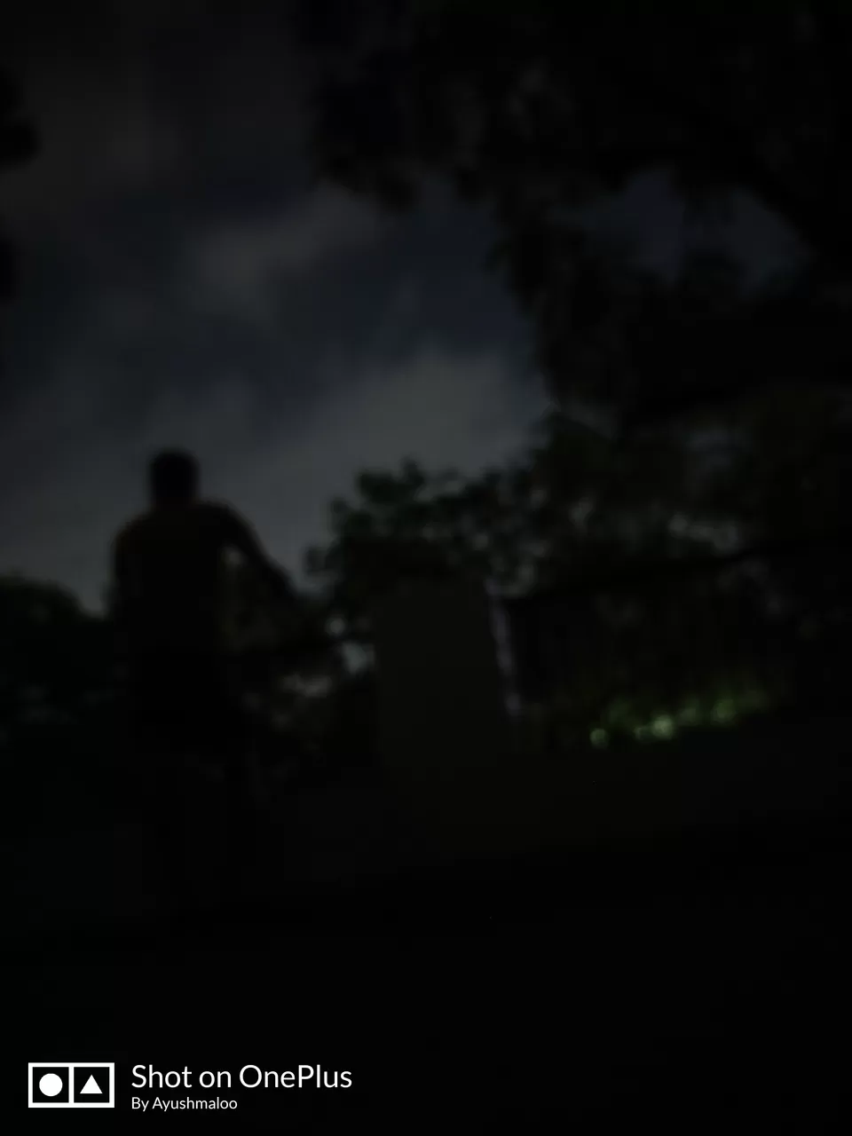 Photo of Jain Vishva Bharti University, Ladnun, Rajasthan, India by Thesundaytraveller