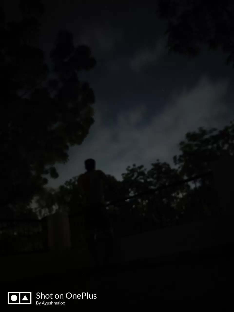 Photo of Jain Vishva Bharti University, Ladnun, Rajasthan, India by Thesundaytraveller