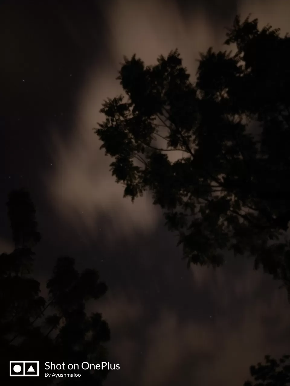 Photo of Jain Vishva Bharti University, Ladnun, Rajasthan, India by Thesundaytraveller