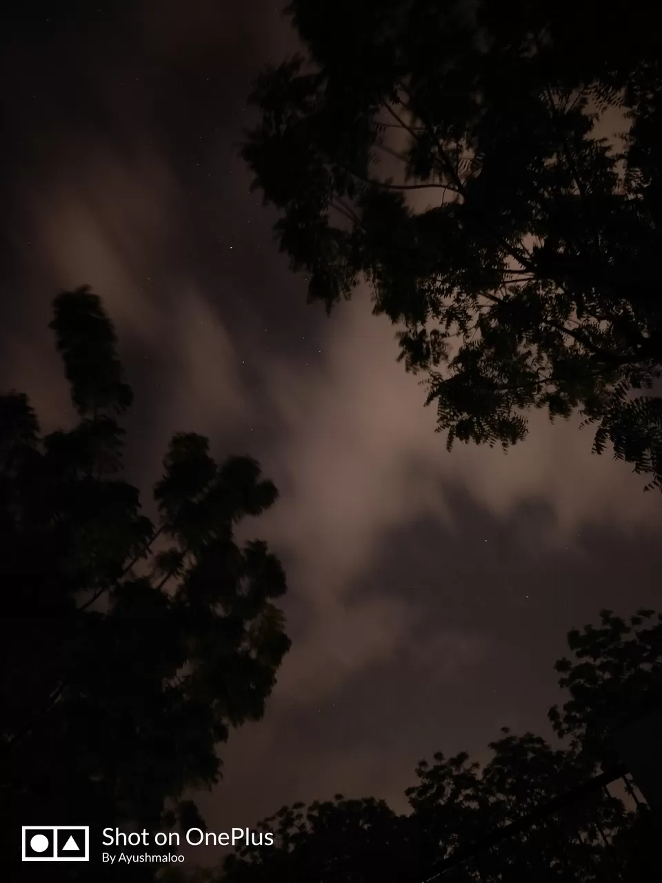 Photo of Jain Vishva Bharti University, Ladnun, Rajasthan, India by Thesundaytraveller