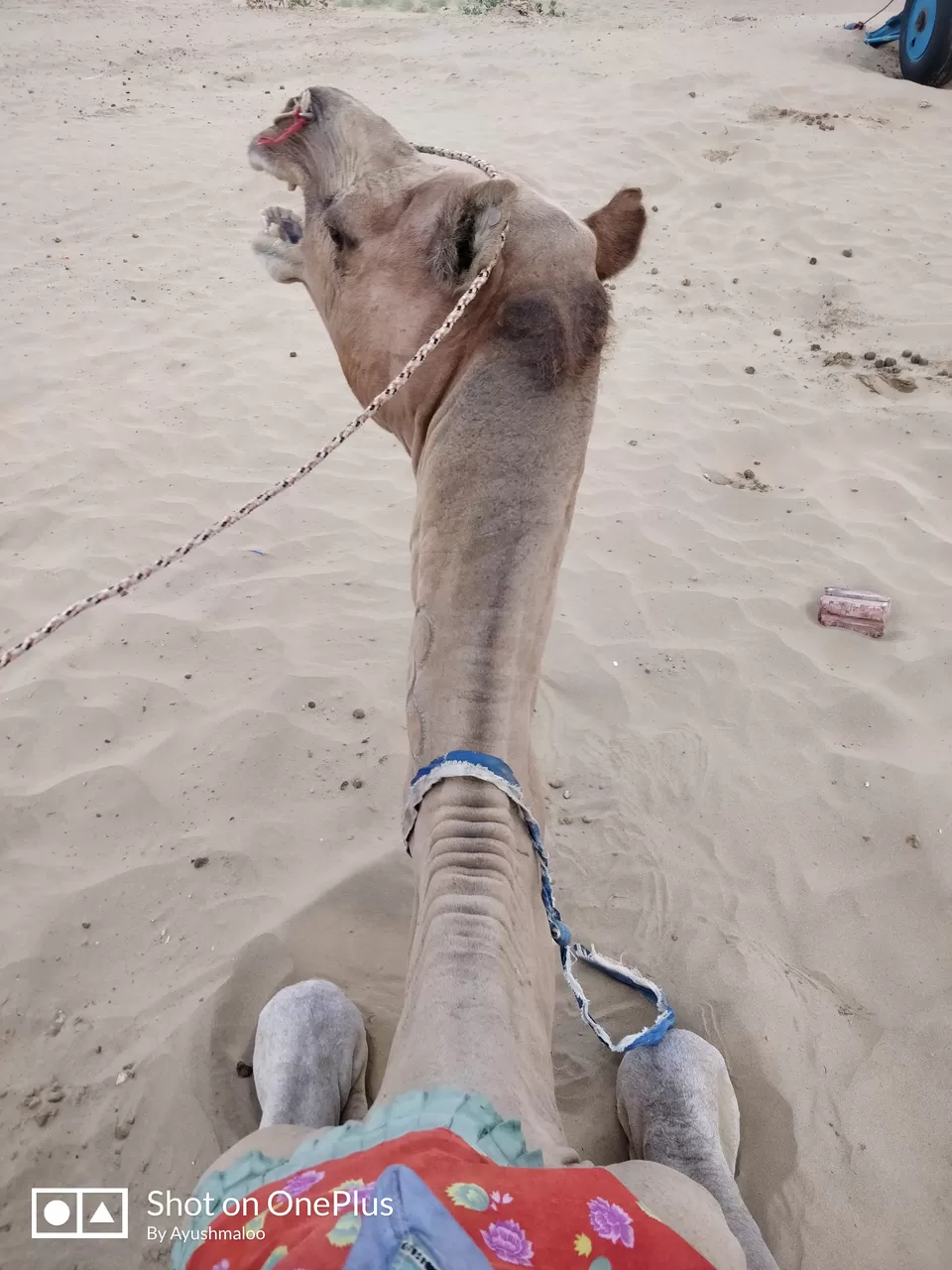 Photo of Sam Sand Dunes Desert Safari Camp Jaisalmer, Kanoi, Rajasthan, India by Thesundaytraveller