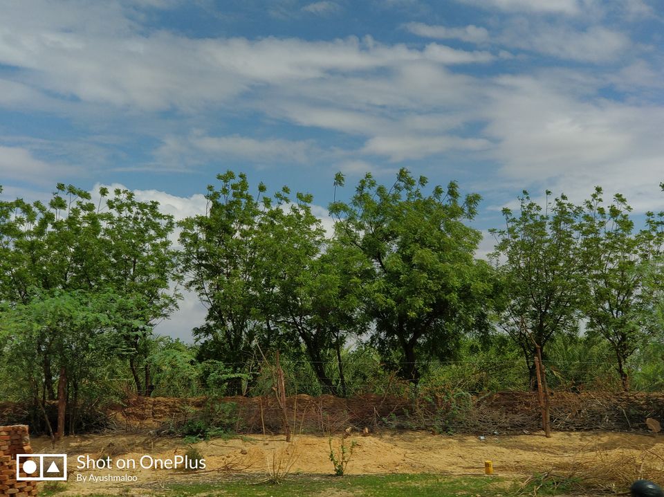 Photo of Rajasthan, India by ayush maloo