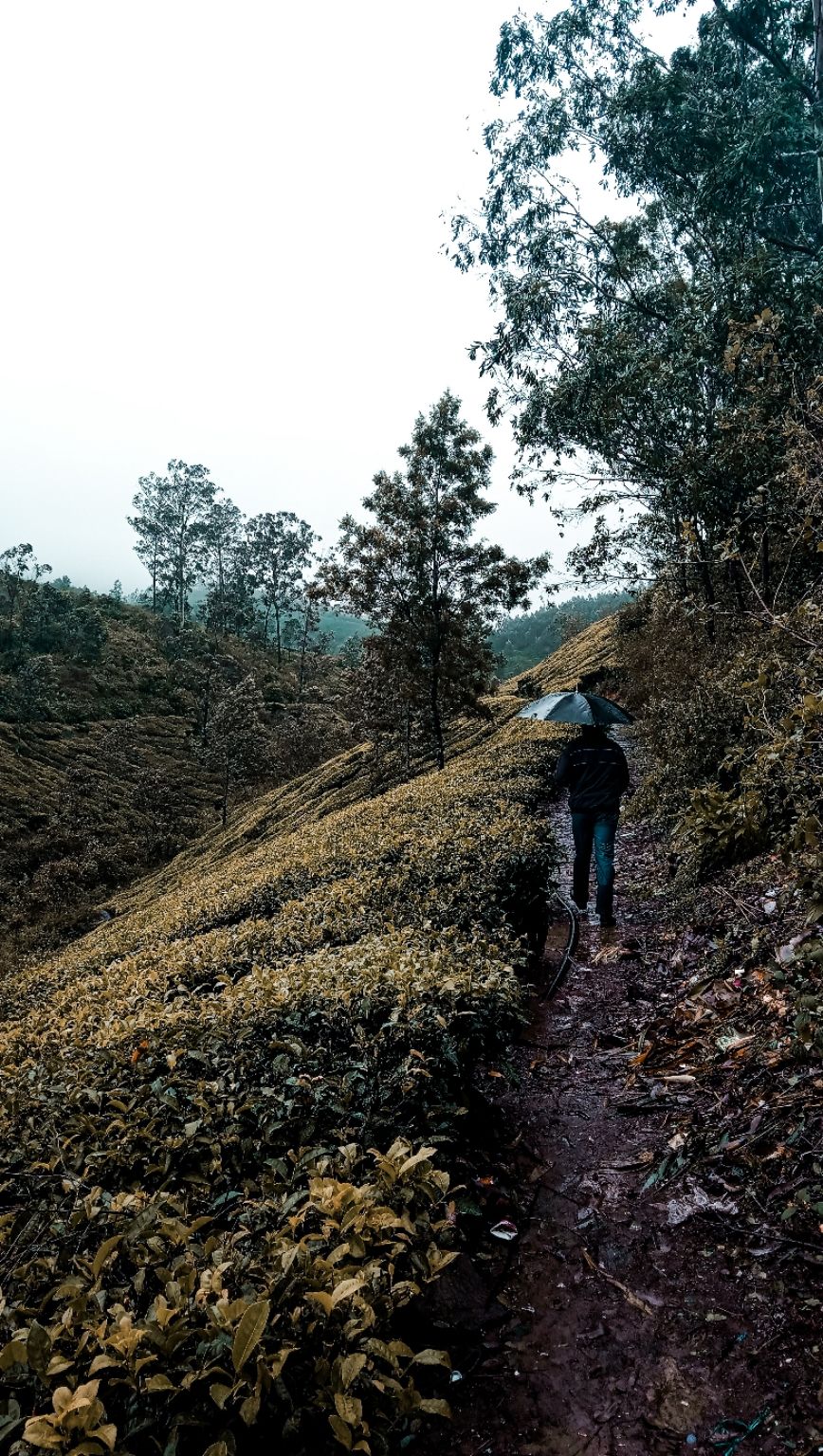 Photo of Solo trip to south India by Nikhlesh tyagi