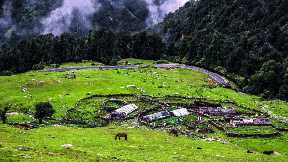 Photo of Uttarakhand, India by Monica Singh