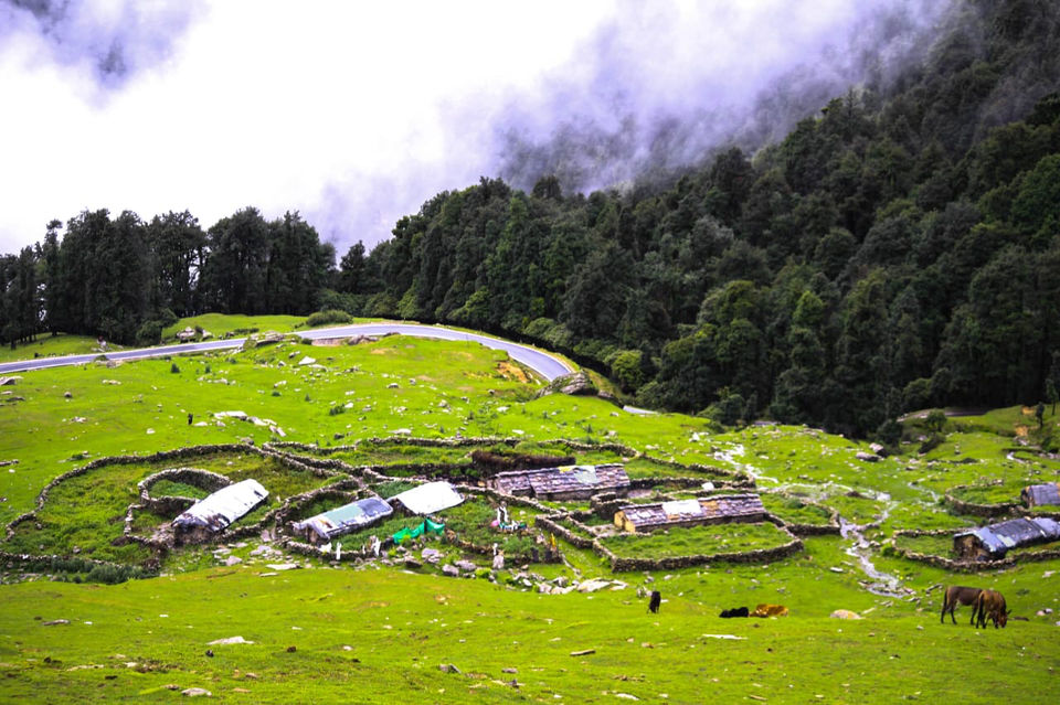 Photo of Uttarakhand, India by Monica Singh