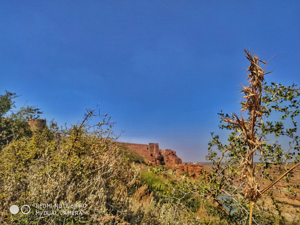 Photo of Did You Know There is Grand Canyon in India????? by Monica Singh