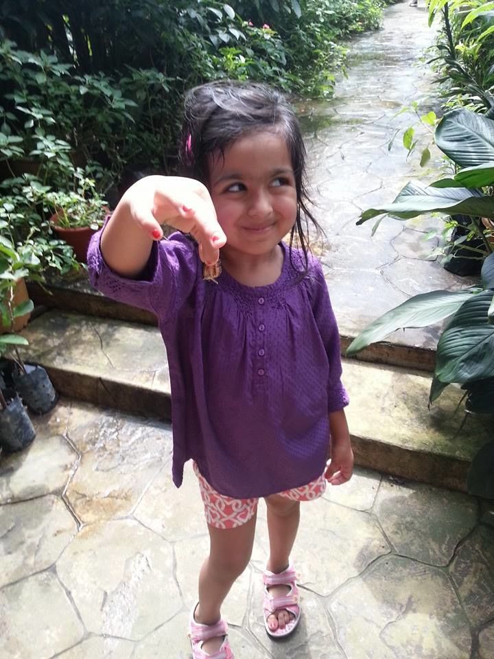 Photo of KL butterfly park by Smiti Maini
