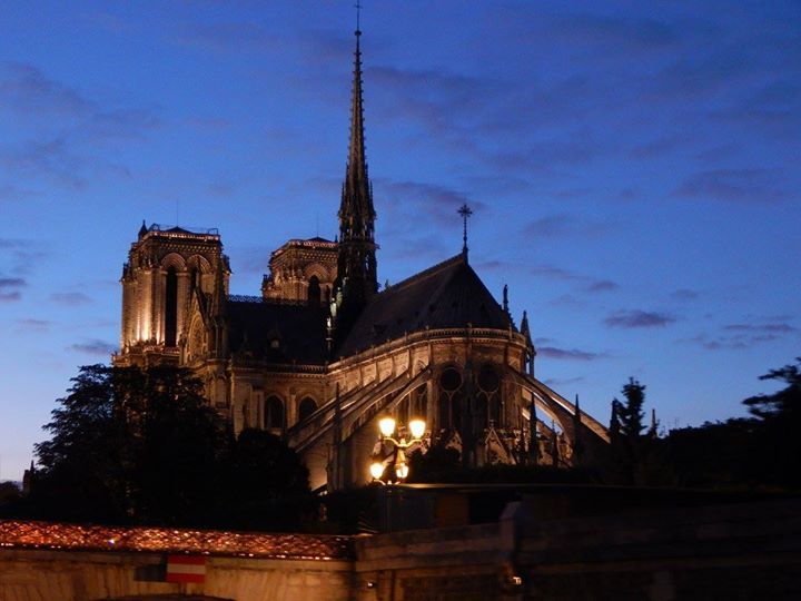 Photo of The Unconventional Honeymoon : Paris by Smiti Maini