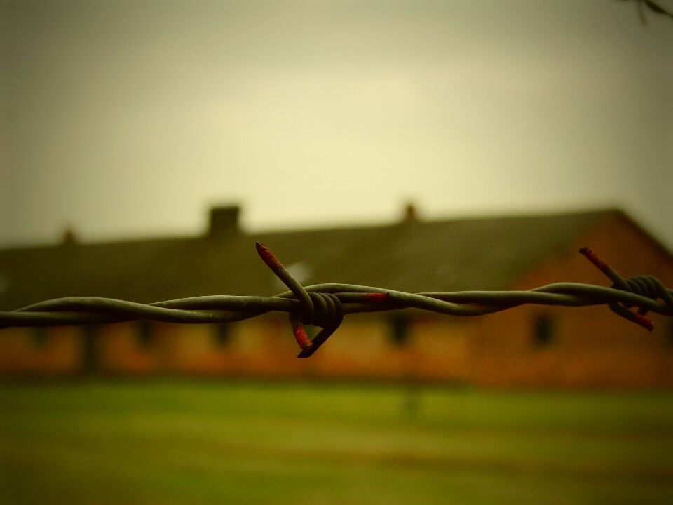 Photo of Auschwitz, Poland : Where Humanity Died by Smiti Maini