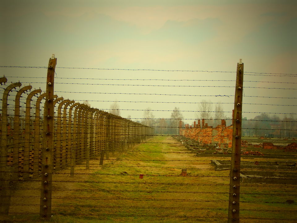 Photo of Auschwitz, Poland : Where Humanity Died 21/28 by Smiti Maini
