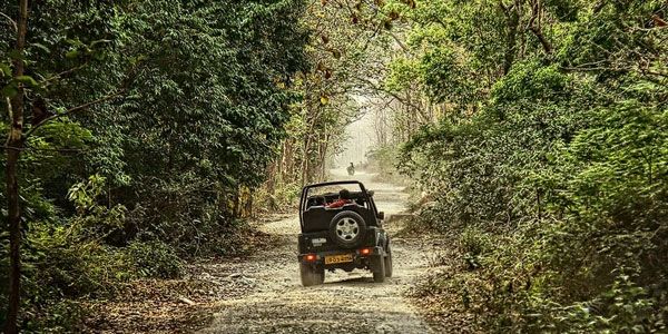 Photo of जिम कॉर्बेट नेशनल पार्क : जंगल सफारी के लिए हो जाइये तैयार by Faisal Ansari