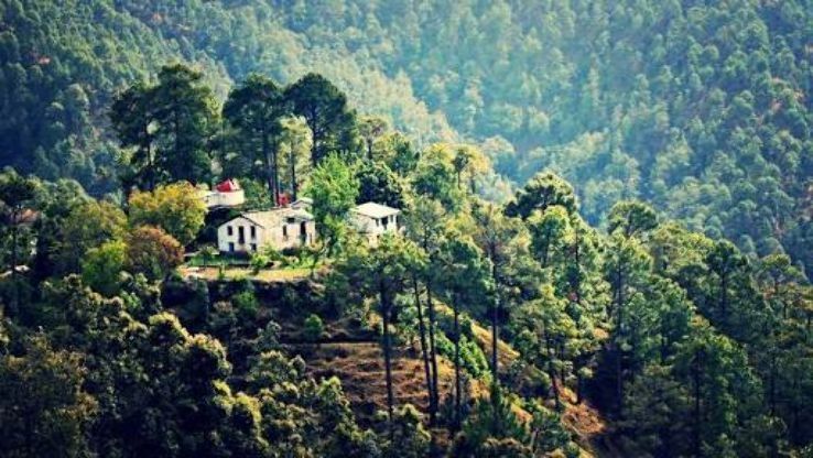 Photo of बिनसर : हसीन वादियों में खोना है, तो बनाएं इस हिल स्टेशन का प्लान by Faisal Ansari