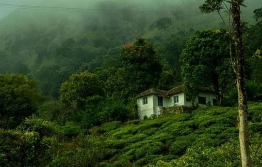 Photo of चेम्ब्रा चोटी : कालपेट्टा की सबसे ऊँची चोटी by Faisal Ansari