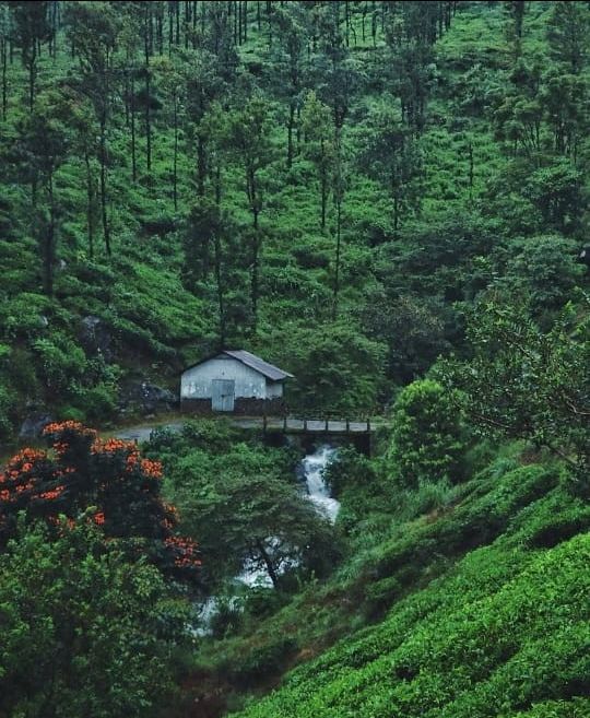 Photo of चेम्ब्रा चोटी : कालपेट्टा की सबसे ऊँची चोटी by Faisal Ansari