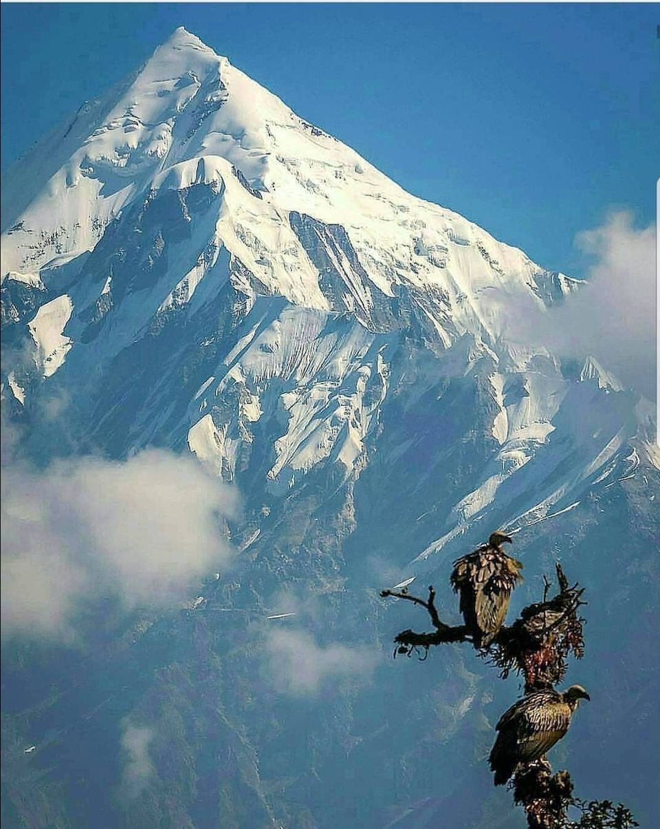 Photo of मुनस्यारी : उत्तराखंड की जान by Faisal Ansari