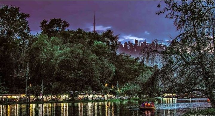 Photo of कोडैकनाल: जंगल के कोने में सौंदर्य by Faisal Ansari
