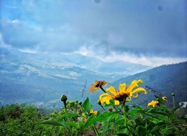 Photo of कोडैकनाल: जंगल के कोने में सौंदर्य by Faisal Ansari
