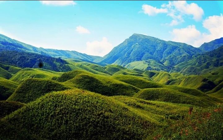 Photo of कोहिमा पर्यटन: केवही फूलों की भूमि by Faisal Ansari