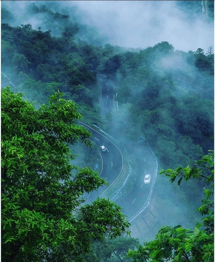 Photo of वालपराई : एक ऐसा हिल स्टेशन है जो कमजोर दिल वालों के लिए नहीं है। by Faisal Ansari