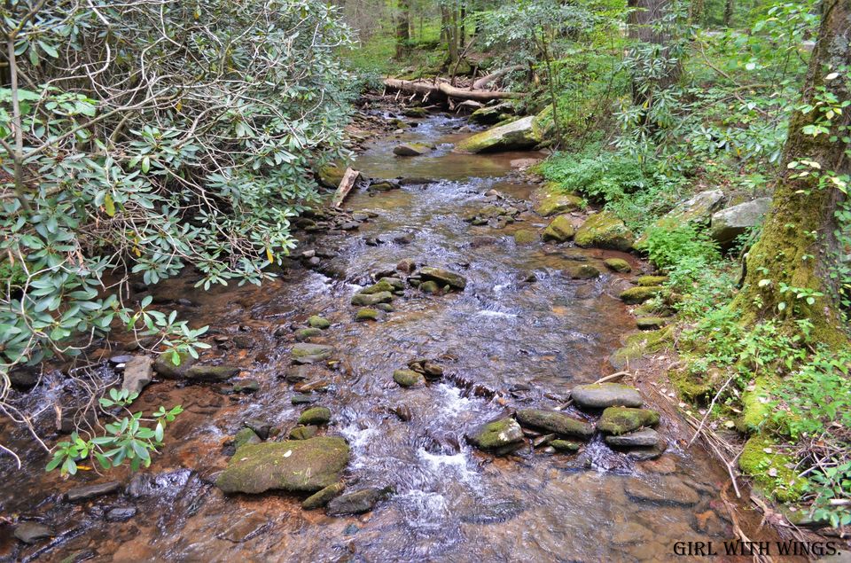 Photo of Dukes Creek Falls, Georgia, USA by Prashanthi Pavadi.