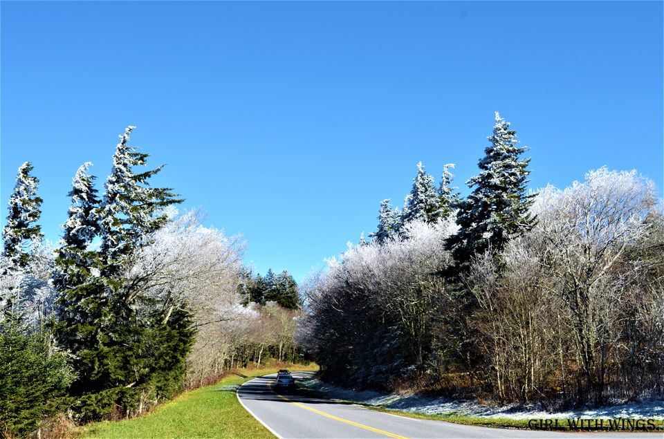 Photo of Clingmans Dome, Forneys Creek, NC, USA by Prashanthi Pavadi.