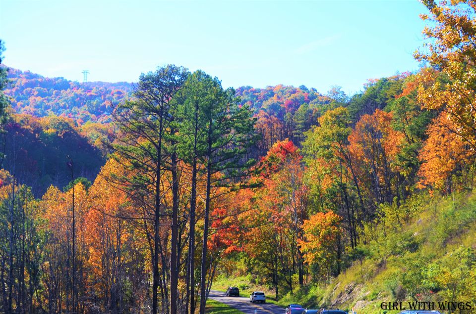 Topmost Fall Foliage spots in and around Gatlinburg, Tennessee. Tripoto