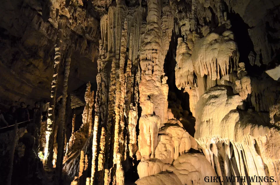 Photo of Natural Bridge Caverns Road, San Antonio, TX, USA by Prashanthi Pavadi.