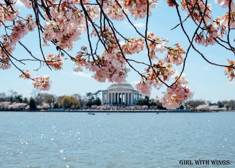 washington dc attractions