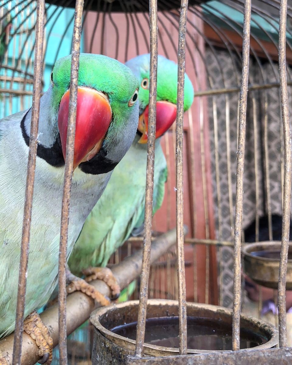 Photo of A ROAD TRIP TO BLISSFUL RAJASTHAN 2/2 by Tanmay Gautam