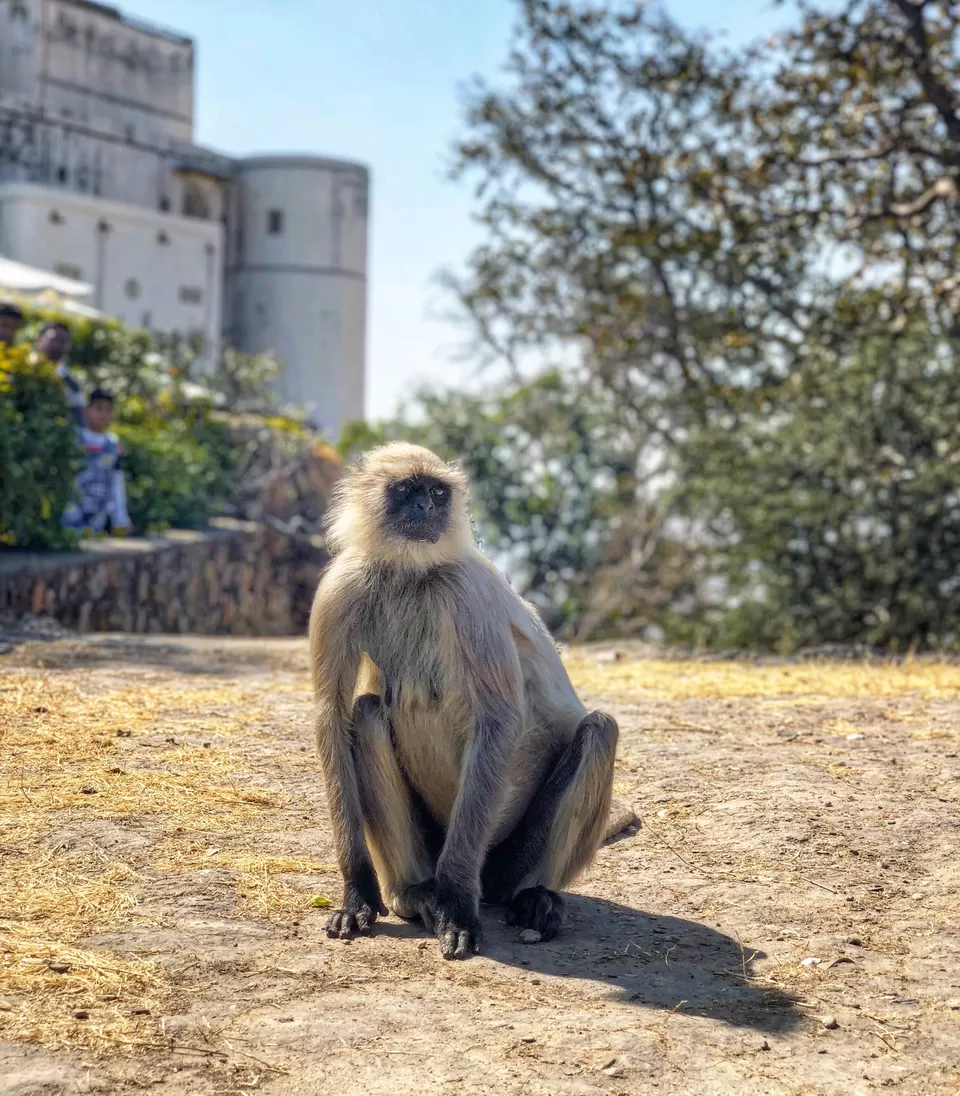 Photo of Sajjan Garh Fort, Udaipur, Fateh Sagar Road, Malla Talai, Udaipur, Rajasthan, India by Tanmay Gautam