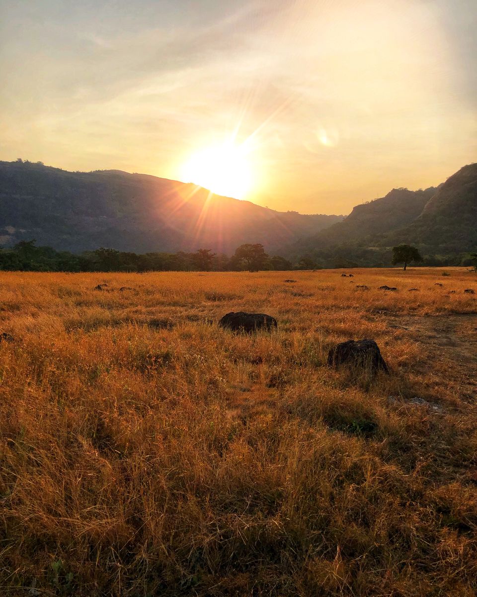 Photo of The Hidden Gem in Lonavala That Tourists Don't Even Know Exists (2 minutes Read) #notontripoto 3/3 by Tanmay Gautam