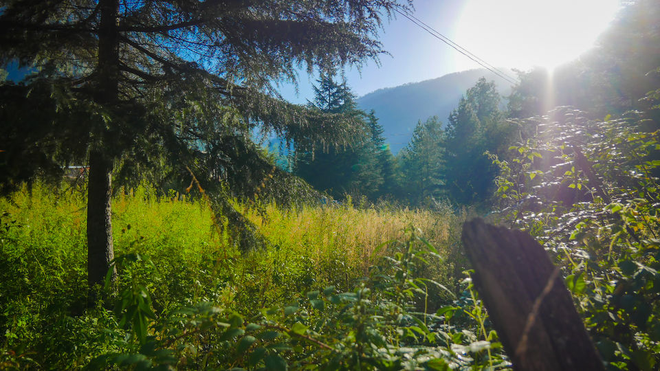 Photo of Kheerganga Trek under 2500 INR 1/1 by Sumit Raina