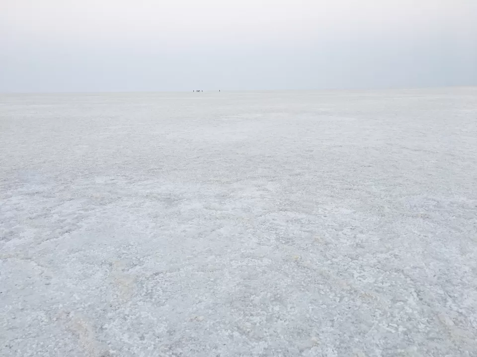Photo of Rann of Kutch, Gujarat by megha jaswal