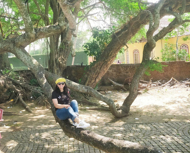 Photo of Fort Kochi, Kochi, Kerala, India by megha jaswal